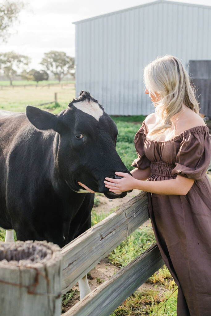 Family photographer, Perth and the Wheatbelt. Pets in family photos. Cow